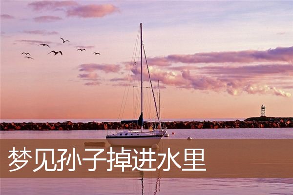 梦见孙子掉进水里_周公解梦梦到孙子掉进水里是什么意思_做梦梦见孙子