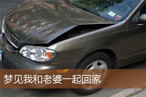 梦见我和老婆一起回家