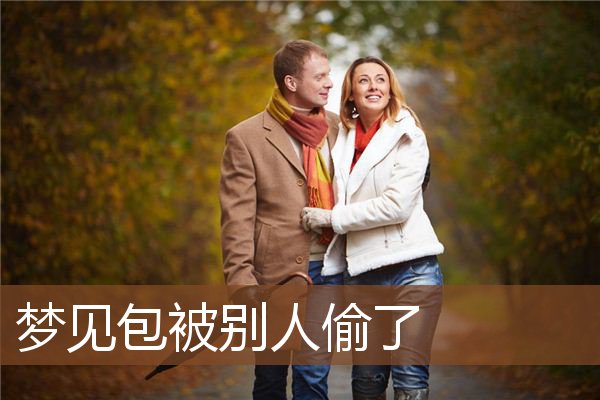梦见包被别人偷了
