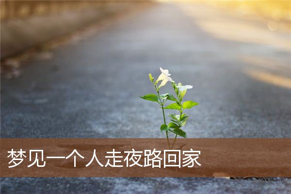 梦见一个人走夜路回家