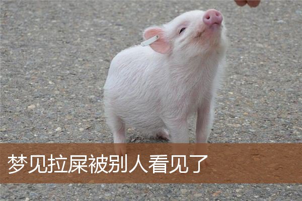 梦见拉屎被别人看见了