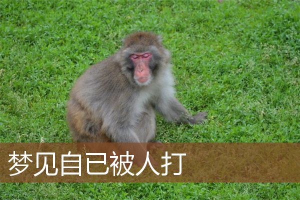 梦见自已被人打