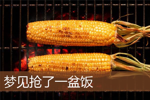 梦见抢了一盆饭