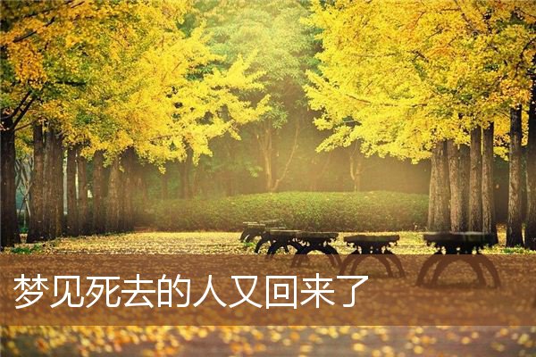 梦见死去的人又回来了