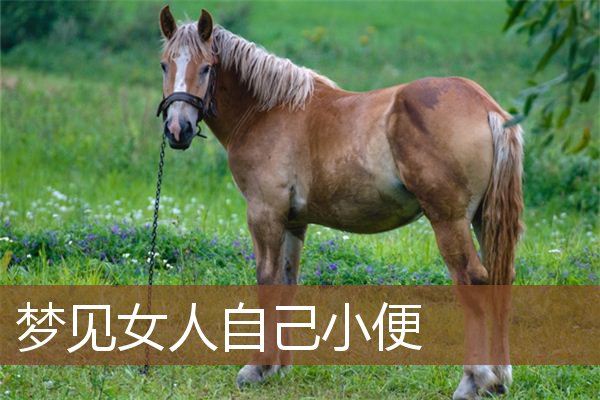 梦见女人自己小便