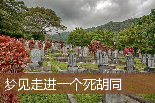 梦见走进一个死胡同