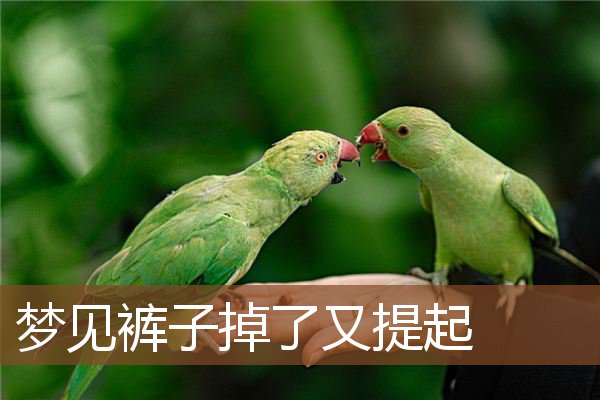 梦见裤子掉了又提起