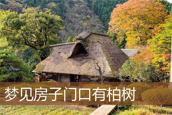 梦见房子门口有柏树 周公解梦梦到房子门口有柏树是什么意思 做梦梦见房子门口有柏树好不好 周公解梦官网