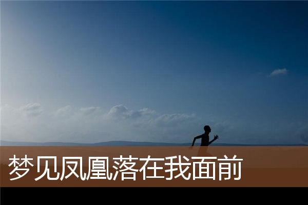 凤凰落在我面前
