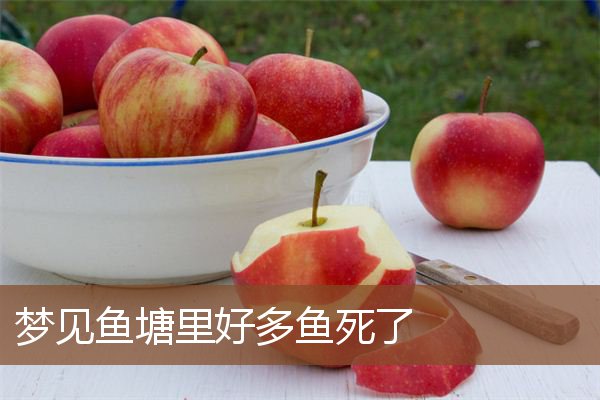 鱼塘里好多鱼死了