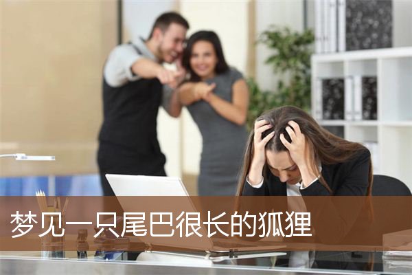 一只尾巴很长的狐狸