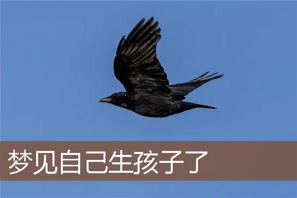 自己生孩子了