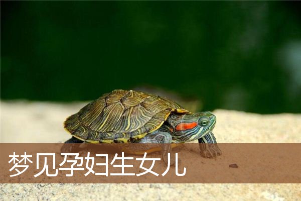 孕妇生女儿