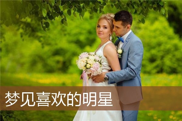 喜欢的明星