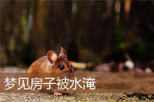 房子被水淹