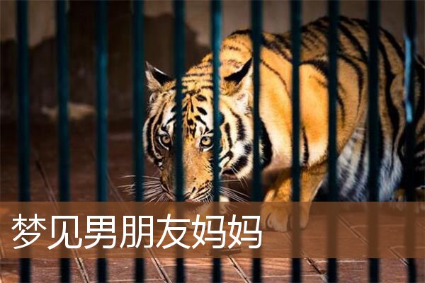 男朋友妈妈
