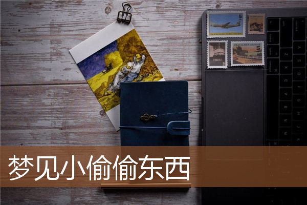 小偷偷东西