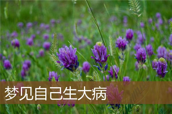 自己生大病