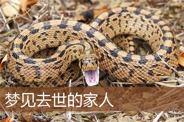 去世的家人