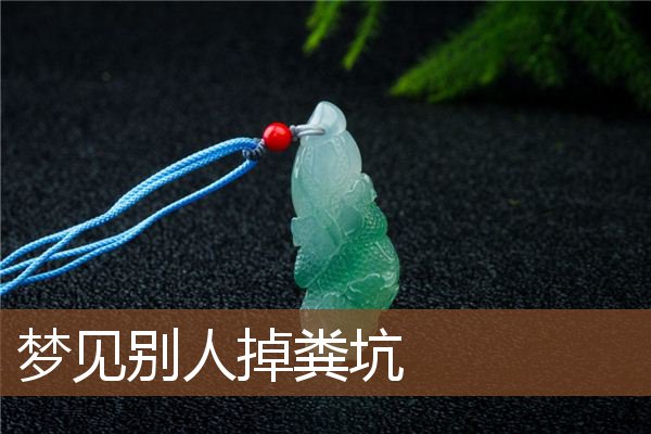 别人掉粪坑
