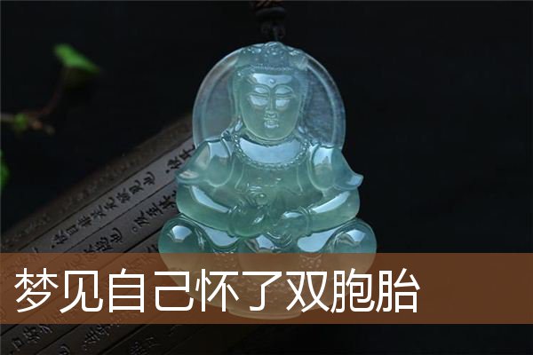 自己怀了双胞胎