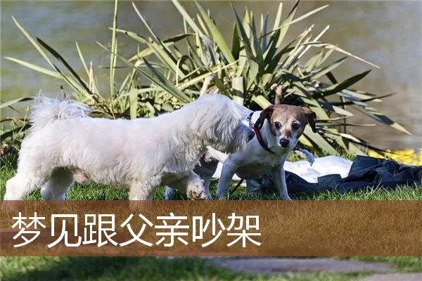 跟父亲吵架