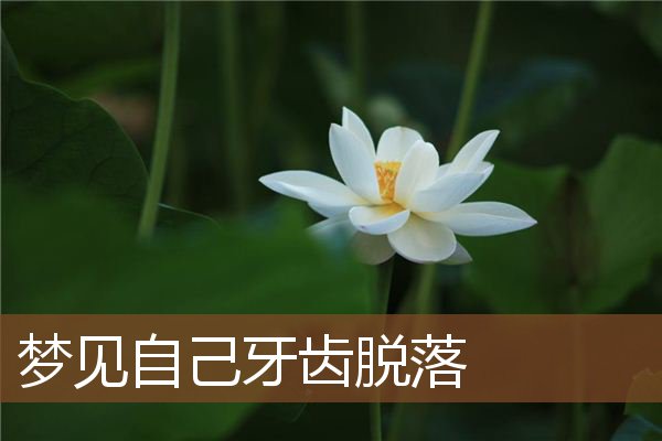 自己牙齿脱落
