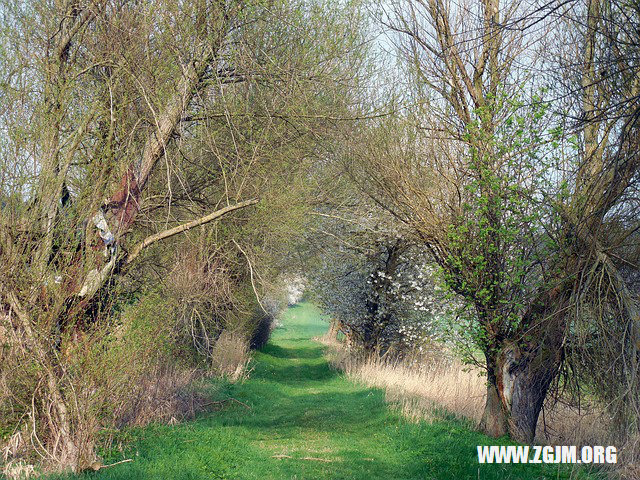 梦见床边有人并被吓醒