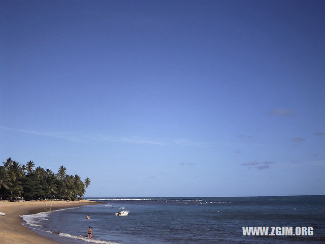 梦见和美女做爱