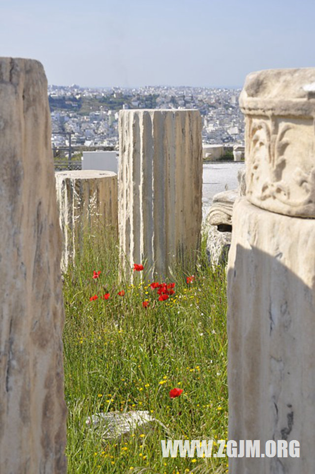 梦见爷爷去世父母打架
