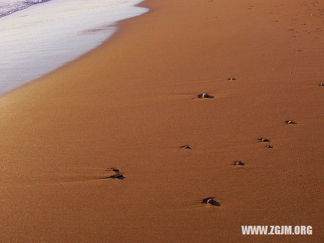 梦见黑白两条蛇