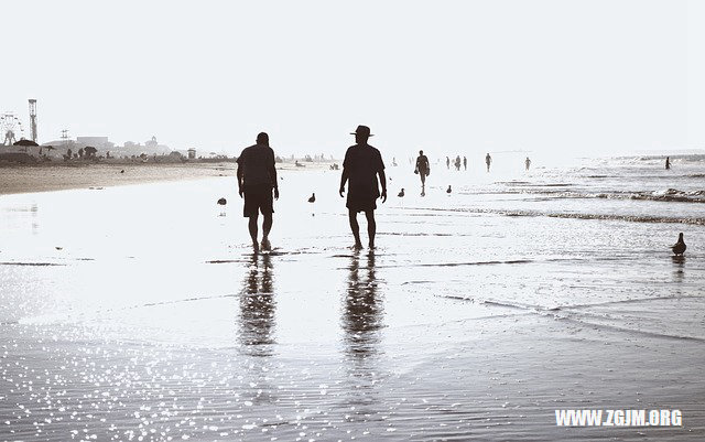 梦见别人开车掉水里