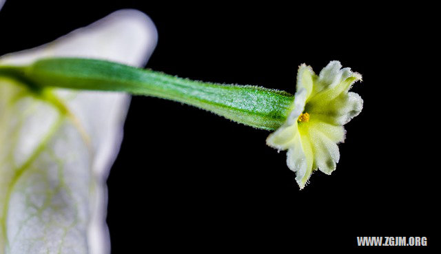 梦见男朋友当我面出轨