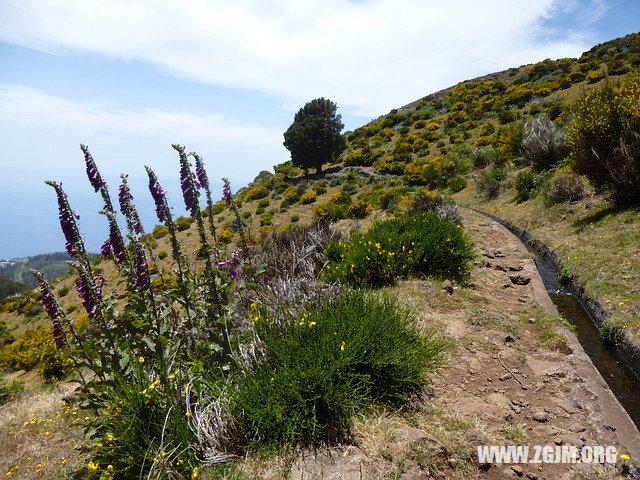梦见自己生了个孩子