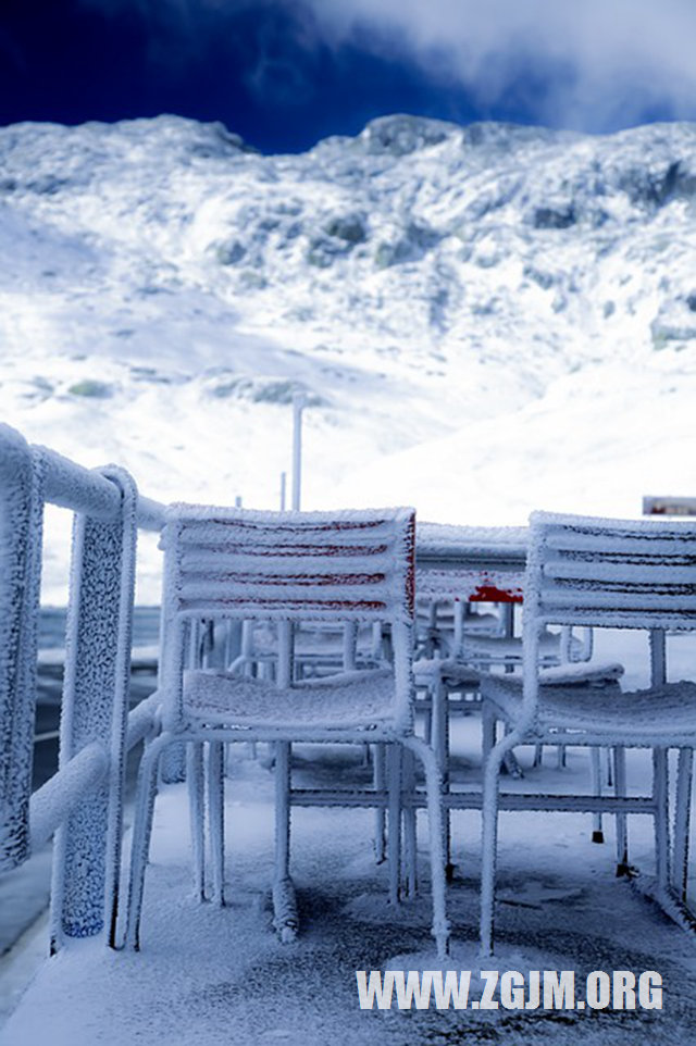 梦见牙齿掉了一颗下牙