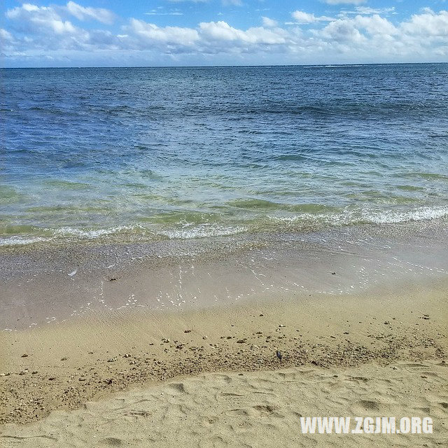 梦见牙掉了一半