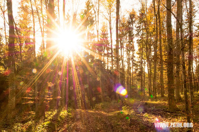 梦见女人逃跑成功