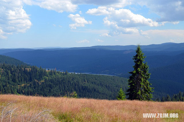 梦见被雷电击中