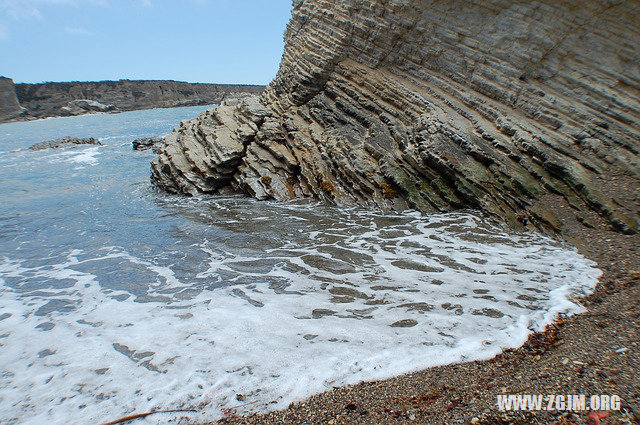 梦见美女一起回家