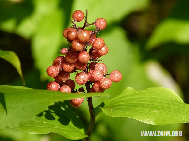 经常梦见同一个人异性周公解梦梦见同一个人什么意思 女人屋手机版