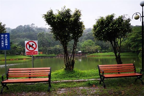 梦见雨水淋湿花草