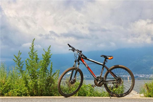 小男生叫小女孩㖭自己的坤坤照片 MBA智库