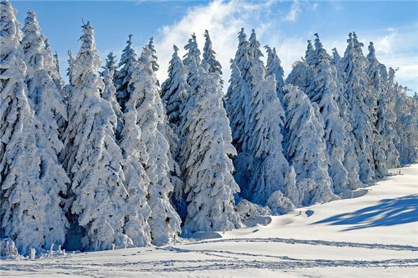 梦见在大太阳中下雪