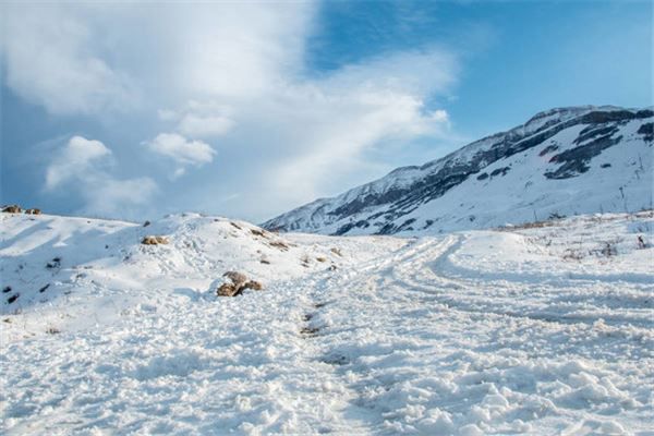 梦见爬山下雪”