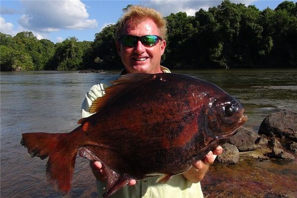 梦境深处的捕鱼奇遇，解析我梦到捉到大鱼，很大的鱼，1米多的深层含义