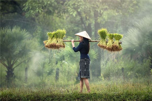 梦见勤劳是什么意思