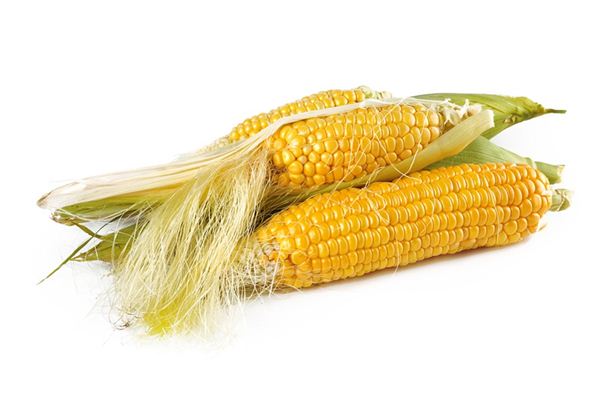 夢見玉米是什么意思