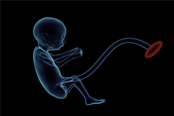 梦见胎儿是什么意思