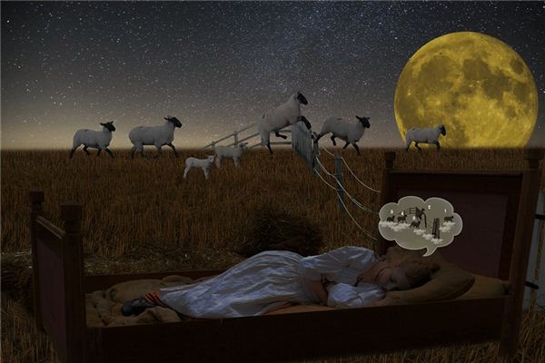 梦见失眠是什么意思