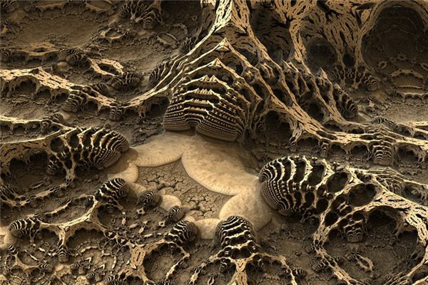 梦见化石是什么意思